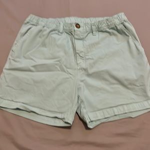 Chubbies 5.5” inseam shorts in pastel green